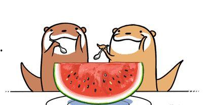 娱乐吃瓜号会不会侵权